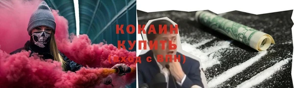 винт Нея