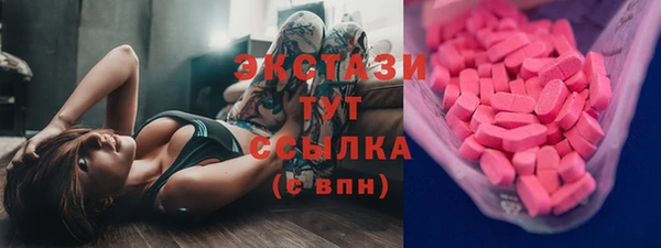 стаф Новозыбков