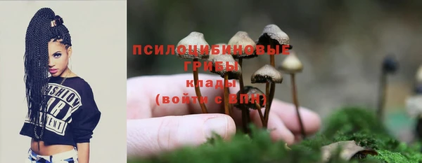 МДПВ Новодвинск